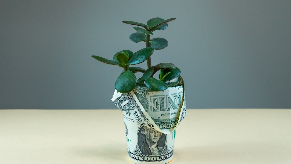 5 Tips For Growing Your Small Business