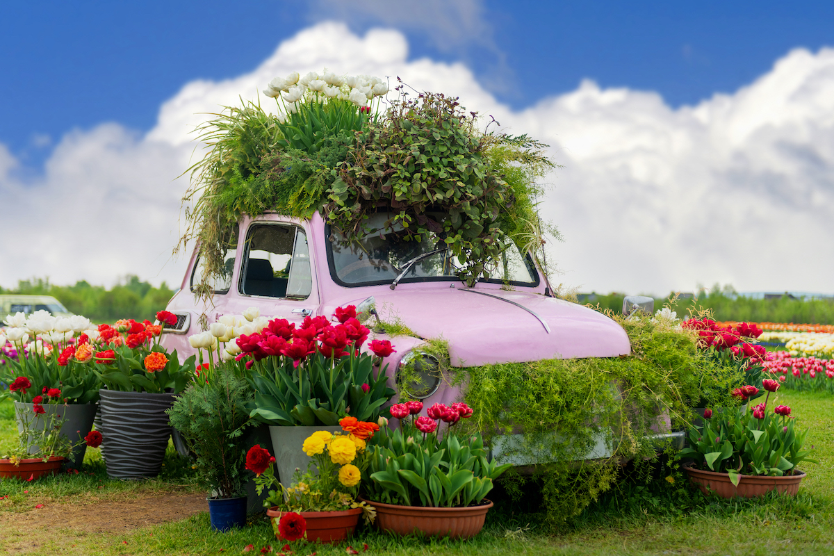 7 Very Important Spring Car Maintenance Tips