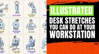 Illustrated Desk Stretches You Can Do at Your Workstation