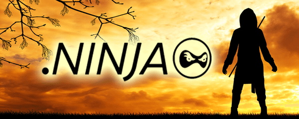 Absolutely Free .ninja Domains Giveaway