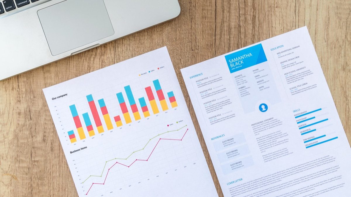 Crafting Successful CVs