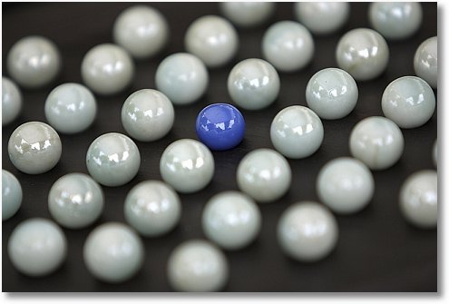 Differentiate the author’s comments on a blog