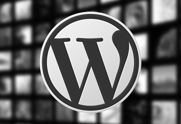 Save more WordPress’ database disk space with a simple trick